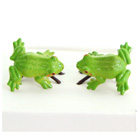 緑の蛙 Green Frog